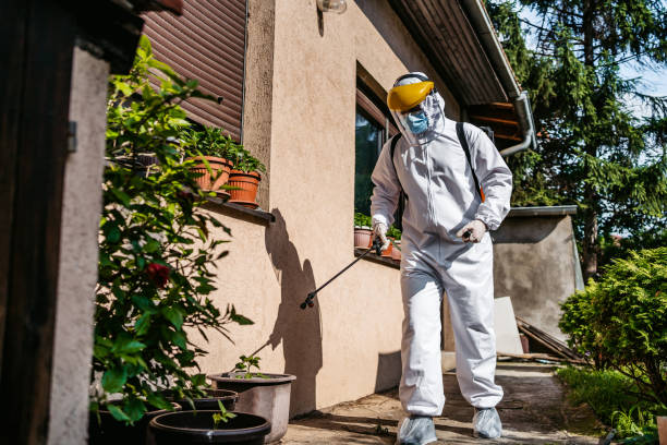 Best Exterminator Services  in Pawtucket, RI