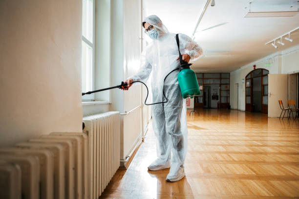 Pest Prevention Services in Pawtucket, RI